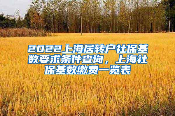 2022上海居转户社保基数要求条件查询，上海社保基数缴费一览表