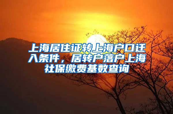 上海居住证转上海户口迁入条件，居转户落户上海社保缴费基数查询