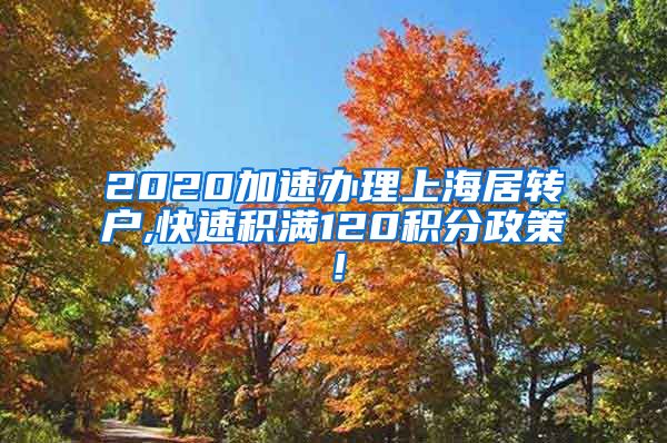 2020加速办理上海居转户,快速积满120积分政策！