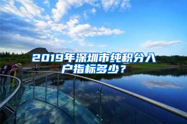 2019年深圳市纯积分入户指标多少？