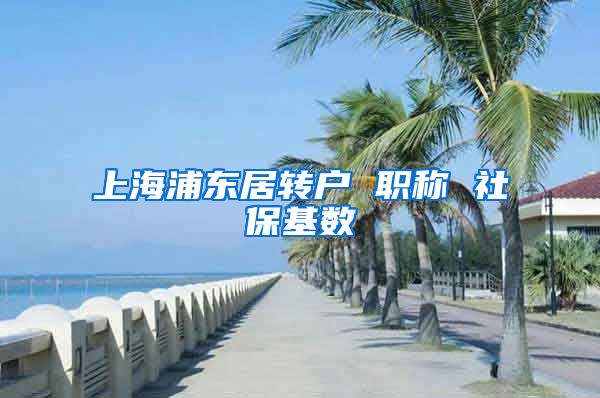 上海浦东居转户 职称 社保基数