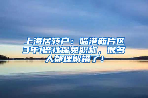 上海居转户：临港新片区3年1倍社保免职称，很多人都理解错了！
