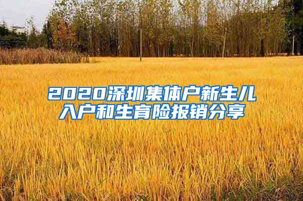 2020深圳集体户新生儿入户和生育险报销分享