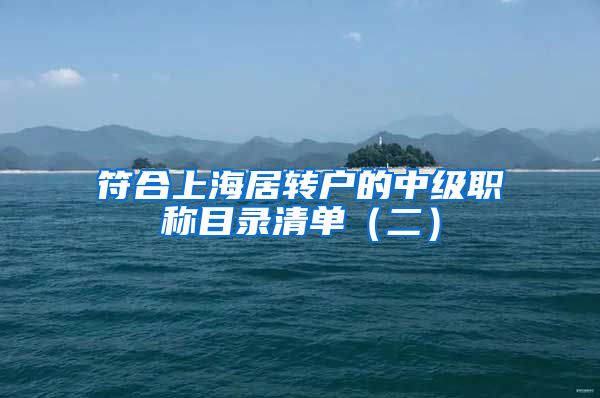 符合上海居转户的中级职称目录清单（二）