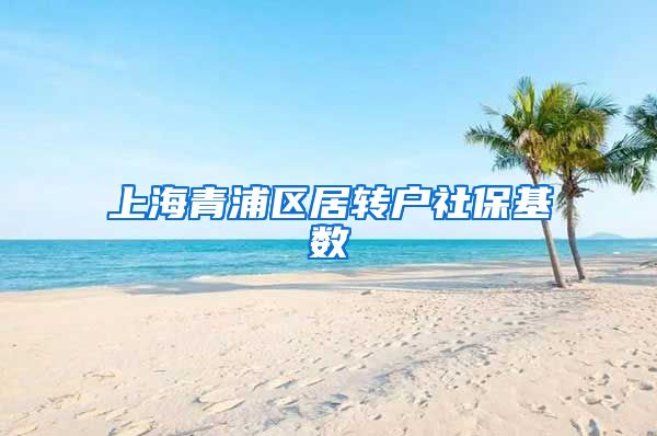 上海青浦区居转户社保基数