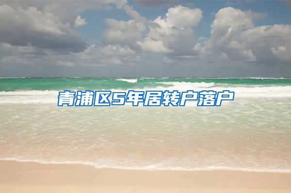 青浦区5年居转户落户