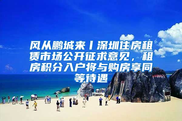 风从鹏城来丨深圳住房租赁市场公开征求意见，租房积分入户将与购房享同等待遇