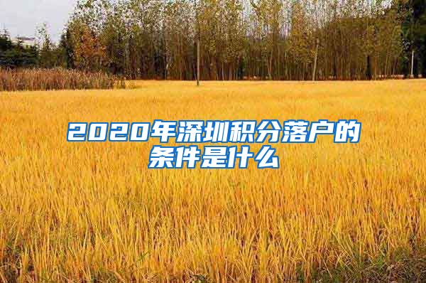 2020年深圳积分落户的条件是什么