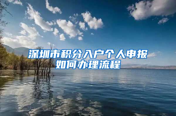 深圳市积分入户个人申报如何办理流程