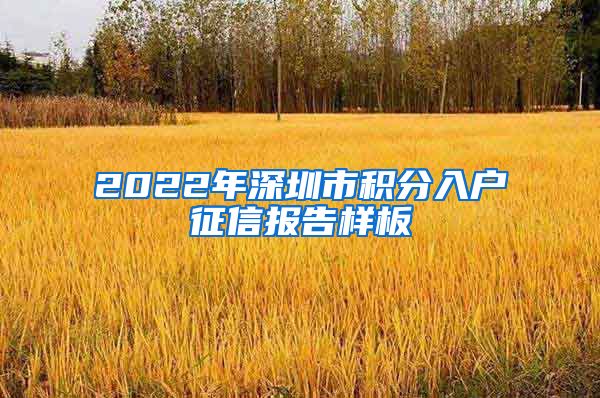 2022年深圳市积分入户征信报告样板