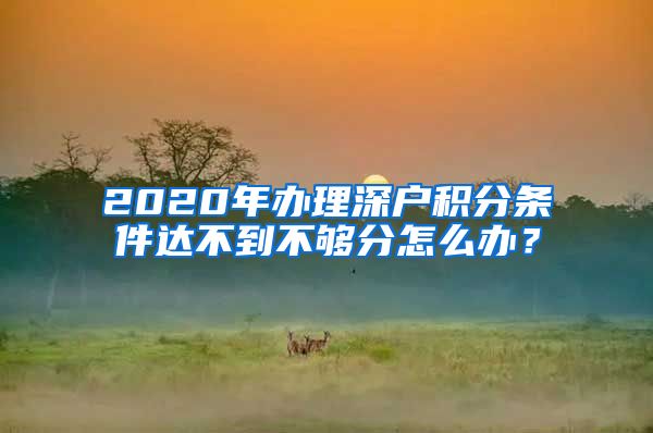 2020年办理深户积分条件达不到不够分怎么办？