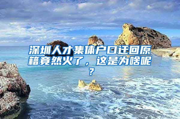 深圳人才集体户口迁回原籍竟然火了，这是为啥呢？