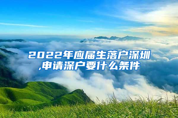 2022年应届生落户深圳,申请深户要什么条件