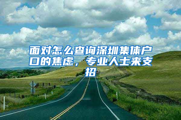 面对怎么查询深圳集体户口的焦虑，专业人士来支招