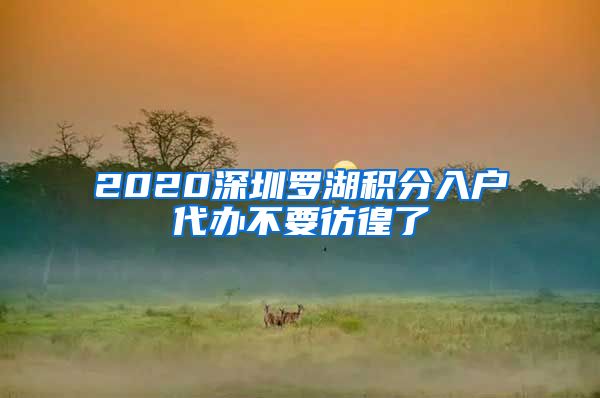 2020深圳罗湖积分入户代办不要彷徨了