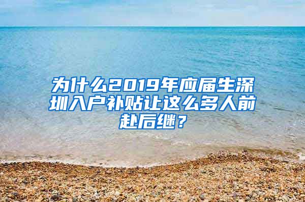 为什么2019年应届生深圳入户补贴让这么多人前赴后继？