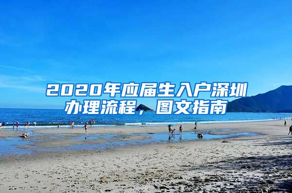 2020年应届生入户深圳办理流程，图文指南