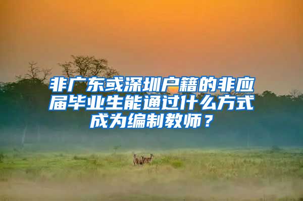 非广东或深圳户籍的非应届毕业生能通过什么方式成为编制教师？