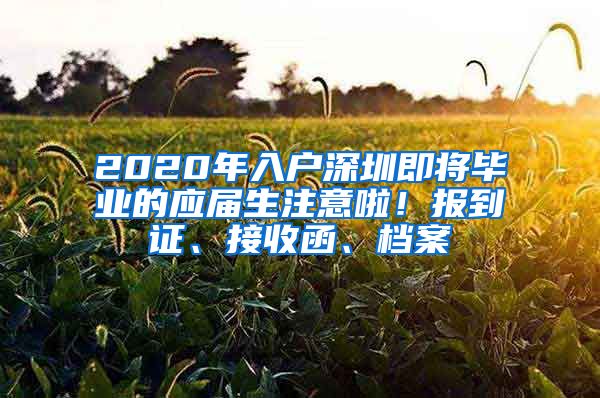 2020年入户深圳即将毕业的应届生注意啦！报到证、接收函、档案