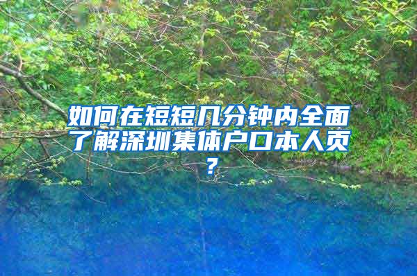 如何在短短几分钟内全面了解深圳集体户口本人页？