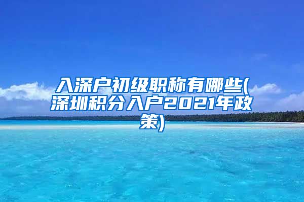 入深户初级职称有哪些(深圳积分入户2021年政策)