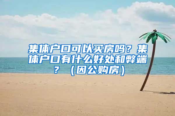 集体户口可以买房吗？集体户口有什么好处和弊端？（因公购房）