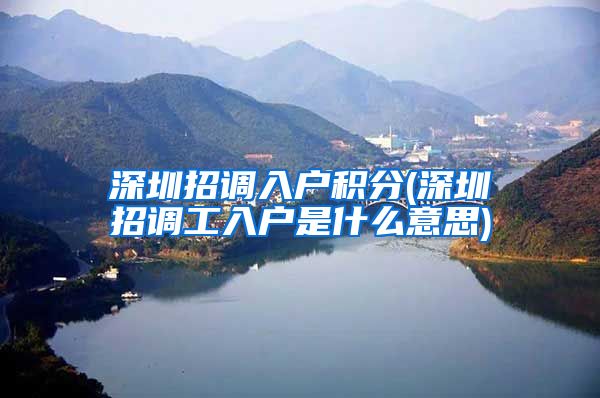 深圳招调入户积分(深圳招调工入户是什么意思)