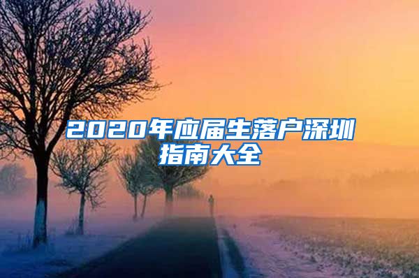 2020年应届生落户深圳指南大全