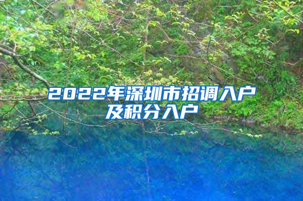 2022年深圳市招调入户及积分入户