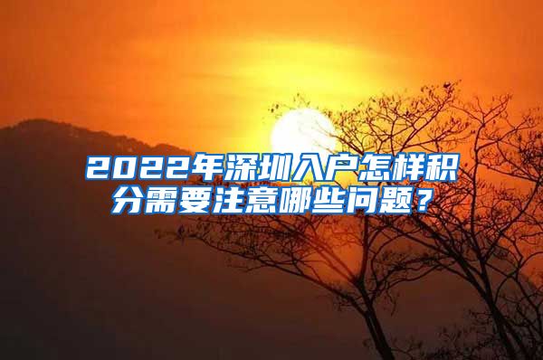 2022年深圳入户怎样积分需要注意哪些问题？