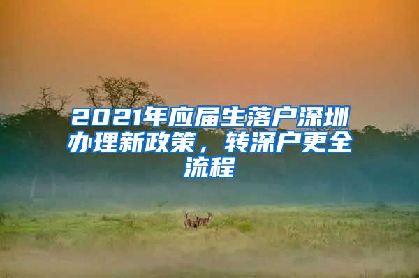 2021年应届生落户深圳办理新政策，转深户更全流程