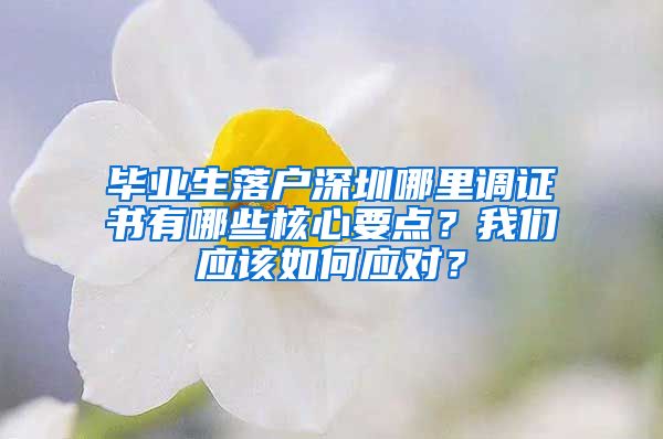 毕业生落户深圳哪里调证书有哪些核心要点？我们应该如何应对？