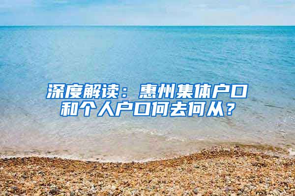 深度解读：惠州集体户口和个人户口何去何从？