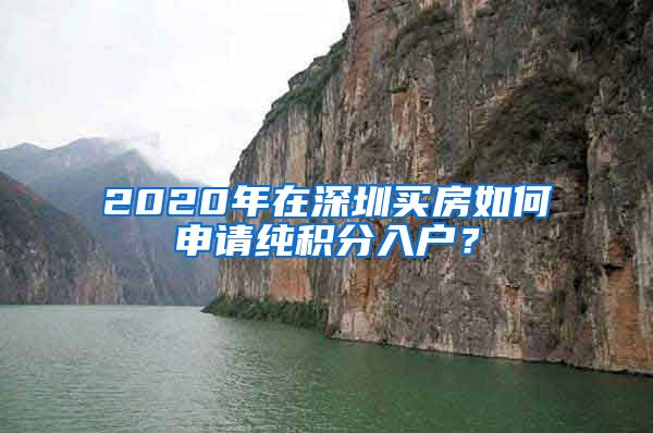 2020年在深圳买房如何申请纯积分入户？