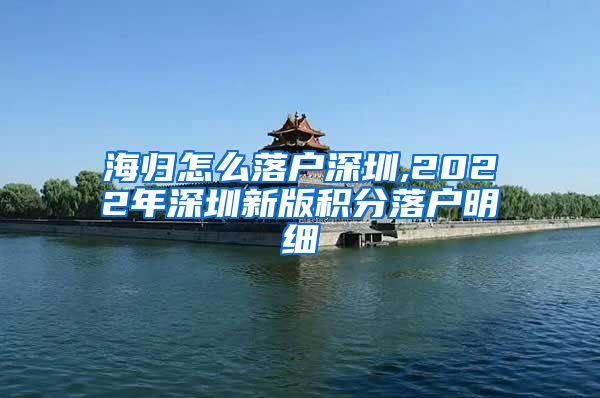 海归怎么落户深圳,2022年深圳新版积分落户明细