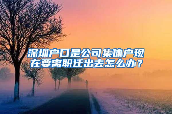 深圳户口是公司集体户现在要离职迁出去怎么办？