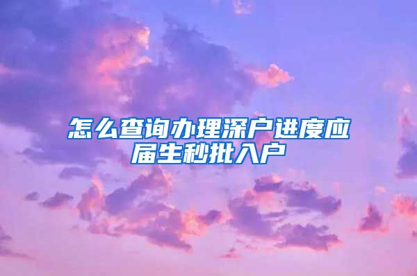 怎么查询办理深户进度应届生秒批入户