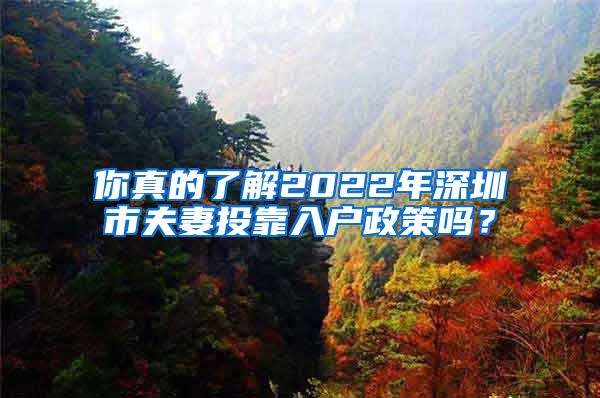 你真的了解2022年深圳市夫妻投靠入户政策吗？