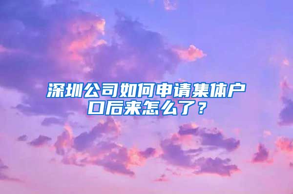 深圳公司如何申请集体户口后来怎么了？