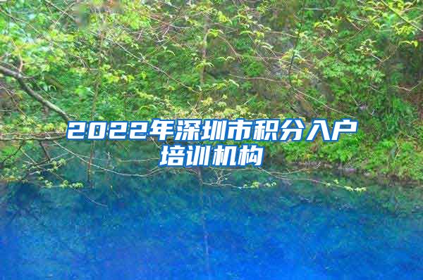 2022年深圳市积分入户培训机构