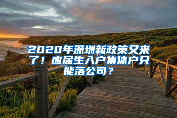 2020年深圳新政策又来了！应届生入户集体户只能落公司？