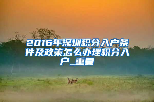 2016年深圳积分入户条件及政策怎么办理积分入户_重复