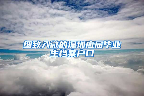 细致入微的深圳应届毕业生档案户口