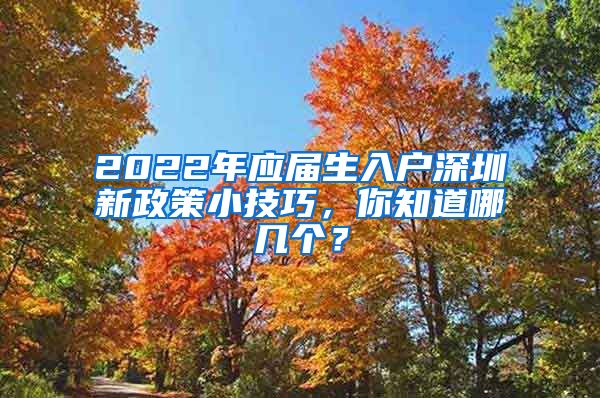 2022年应届生入户深圳新政策小技巧，你知道哪几个？