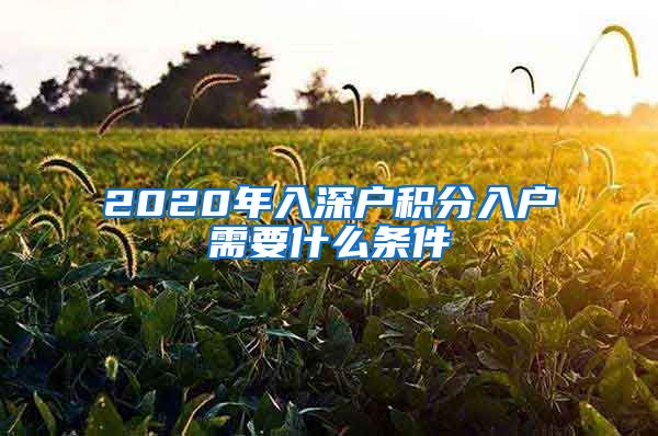 2020年入深户积分入户需要什么条件