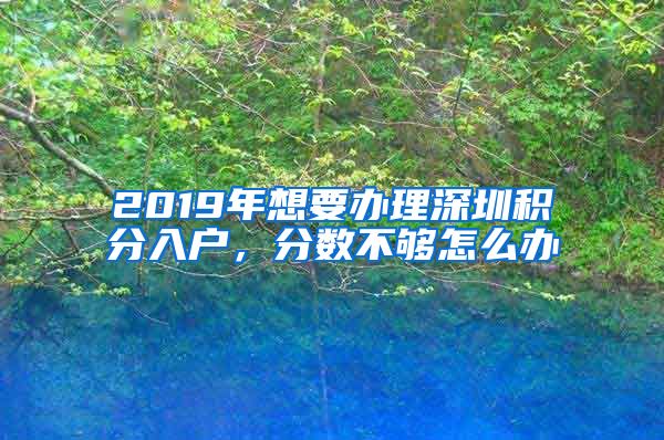 2019年想要办理深圳积分入户，分数不够怎么办