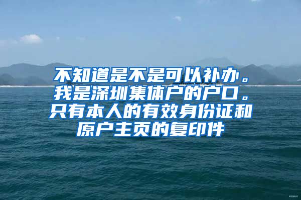 不知道是不是可以补办。我是深圳集体户的户口。只有本人的有效身份证和原户主页的复印件