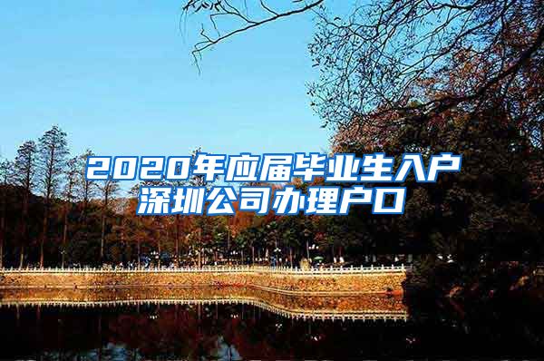 2020年应届毕业生入户深圳公司办理户口