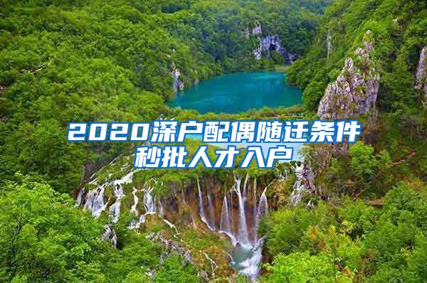 2020深户配偶随迁条件秒批人才入户