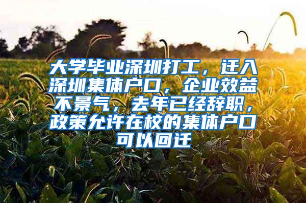 大学毕业深圳打工，迁入深圳集体户口，企业效益不景气，去年已经辞职，政策允许在校的集体户口可以回迁